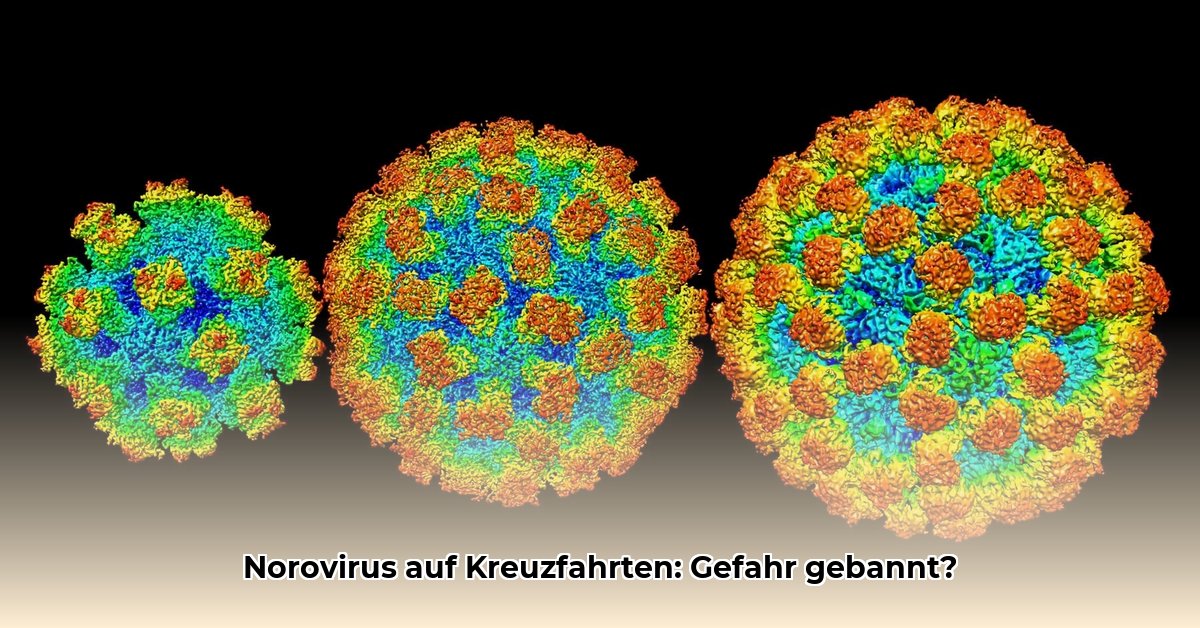 norovirus-auf-kreuzfahrtschiffen